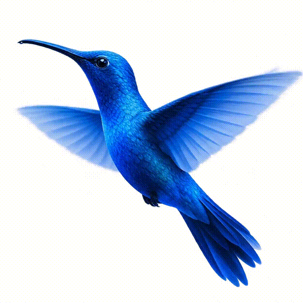 Flying bird